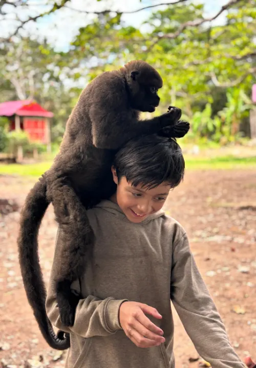 Tours pela selva amazônica saindo de Iquitos