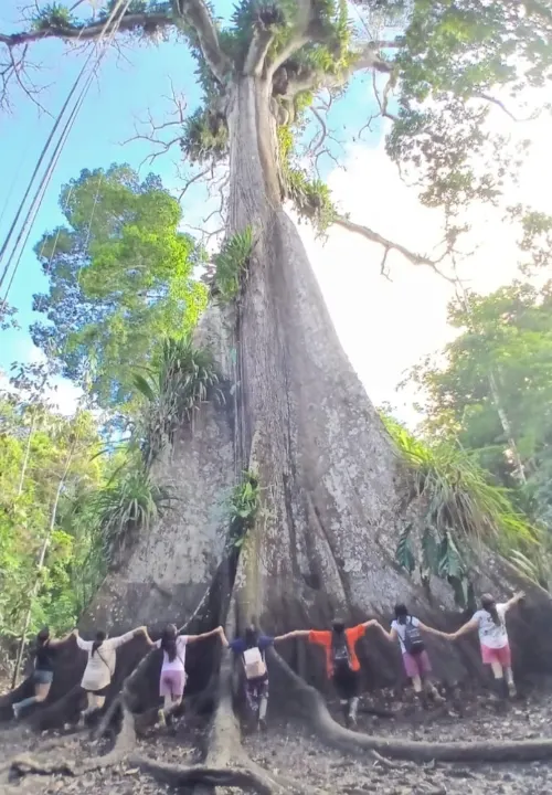 Tours pela selva amazônica saindo de Iquitos