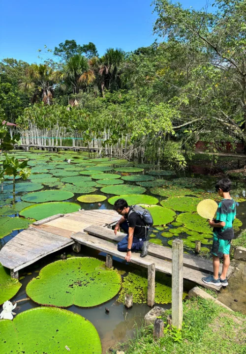 Tours pela selva amazônica saindo de Iquitos