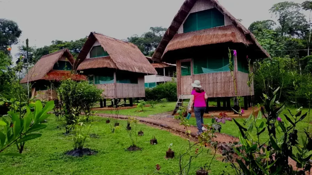 Excursión a la Zona Cultural del Manu