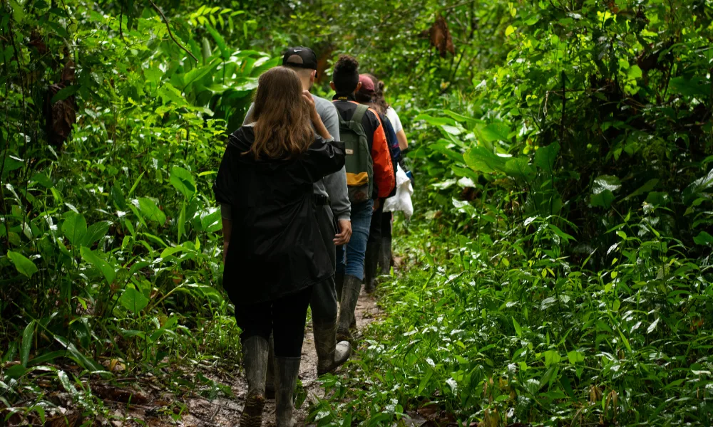 Tours de vida silvestre en la Amazonía peruana