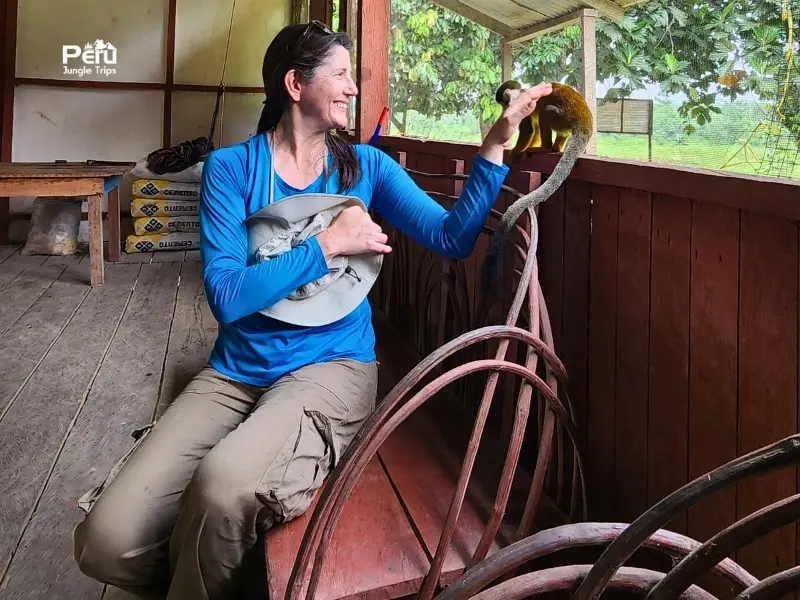 Cozy moment with Amazon monkey in Iquitos Peru