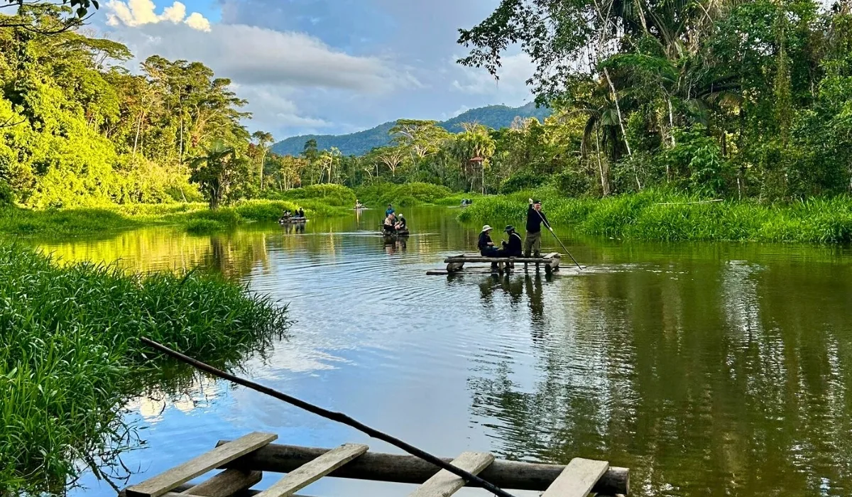 Amazon Rainforest Deadliest Animals: Myths vs Reality