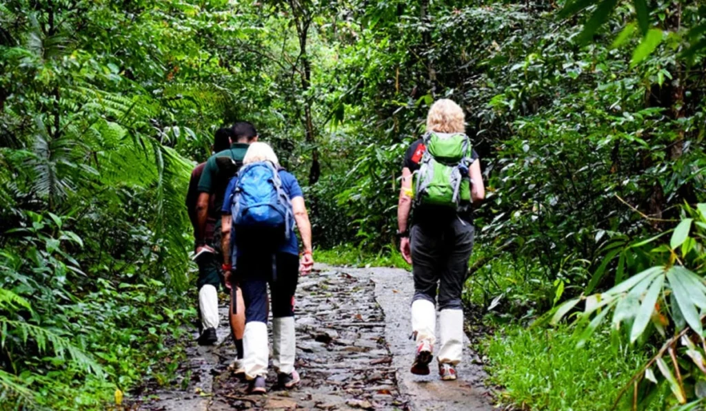 Lista de bagagem para a Amazônia: o que levar na sua próxima viagem à Selva Amazônica Lista de bagagem para a Amazônia