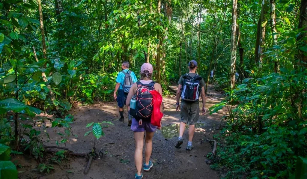Lista de bagagem para a Amazônia: o que levar na sua próxima viagem à Selva Amazônica Lista de bagagem para a Amazônia