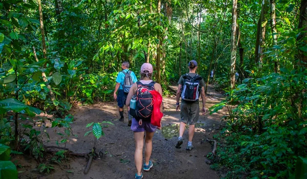 Tours in the Peruvian Amazon: Must-Visit Destinations Tours in the Peruvian Amazon