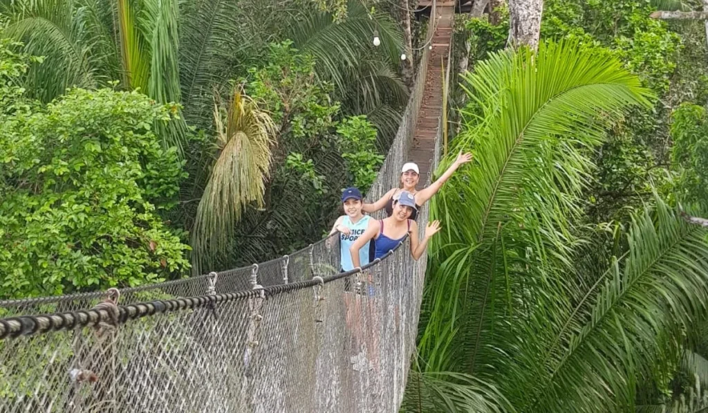 Tours de Canopy em Iquitos – Aventura na selva tropical Tours de Canopy em Iquitos