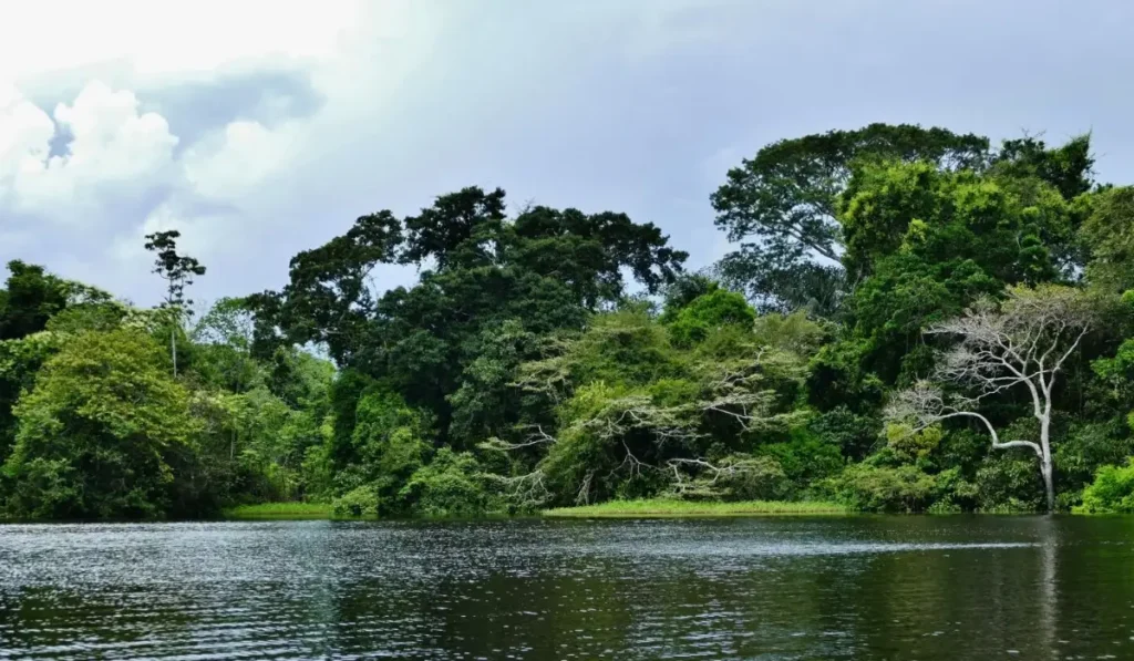 Guide de voyage complet de l’Amazonie péruvienne
