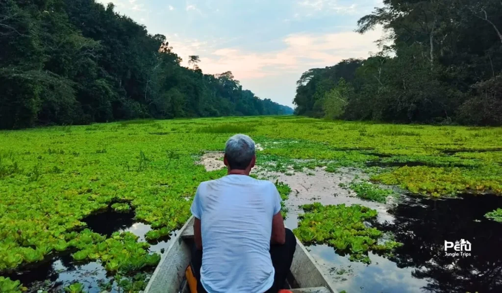Guide de voyage complet de l’Amazonie péruvienne