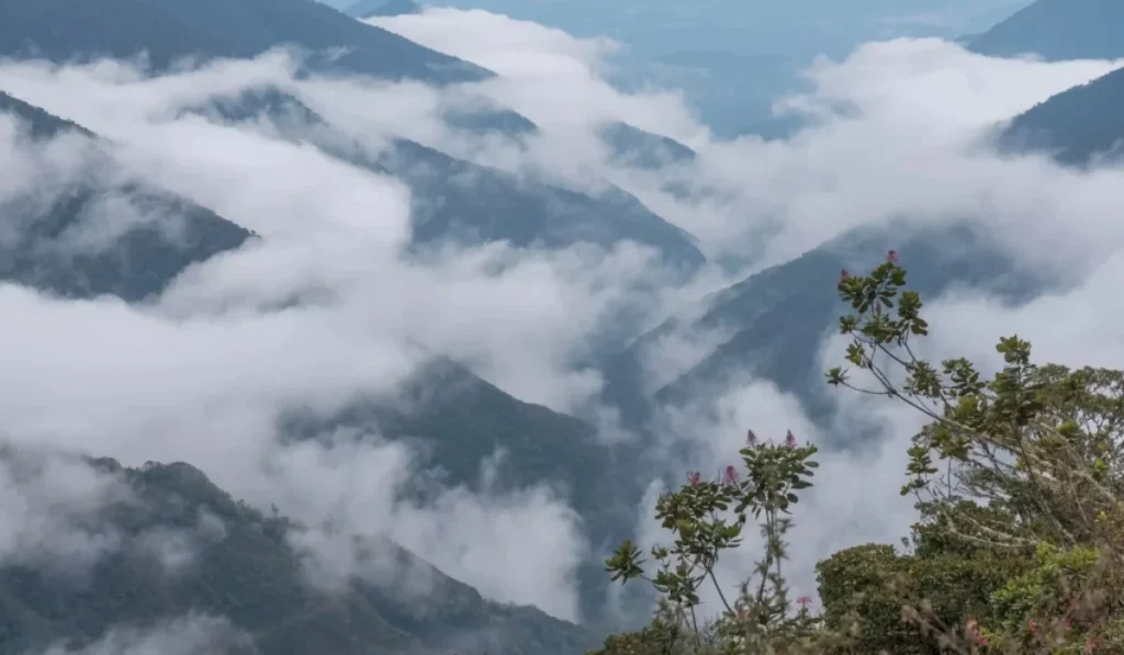 What to Do in Manu National Park: Best Activities What to Do in Manu National Park