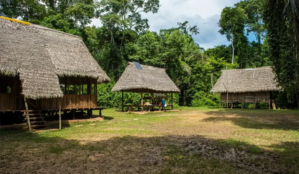 What to Do in Manu National Park: Best Activities