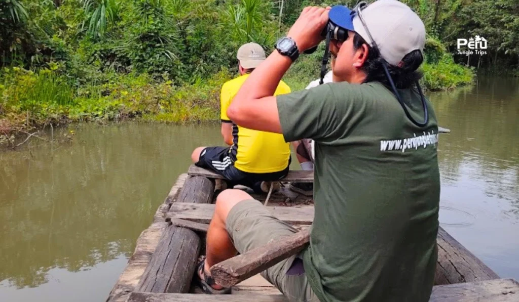 What to Do in Manu National Park: Best Activities