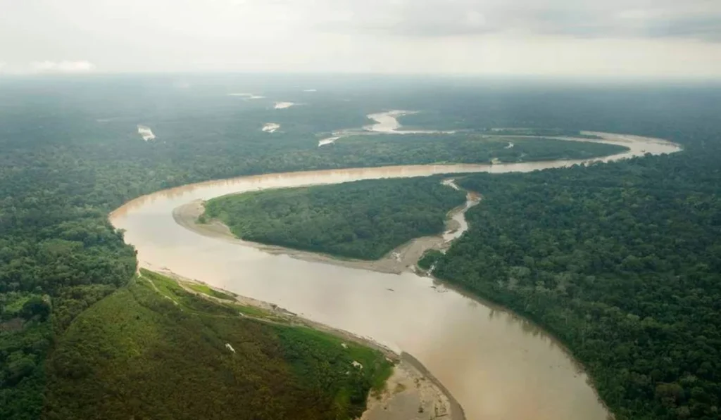 What to Do in Manu National Park: Best Activities What to Do in Manu National Park