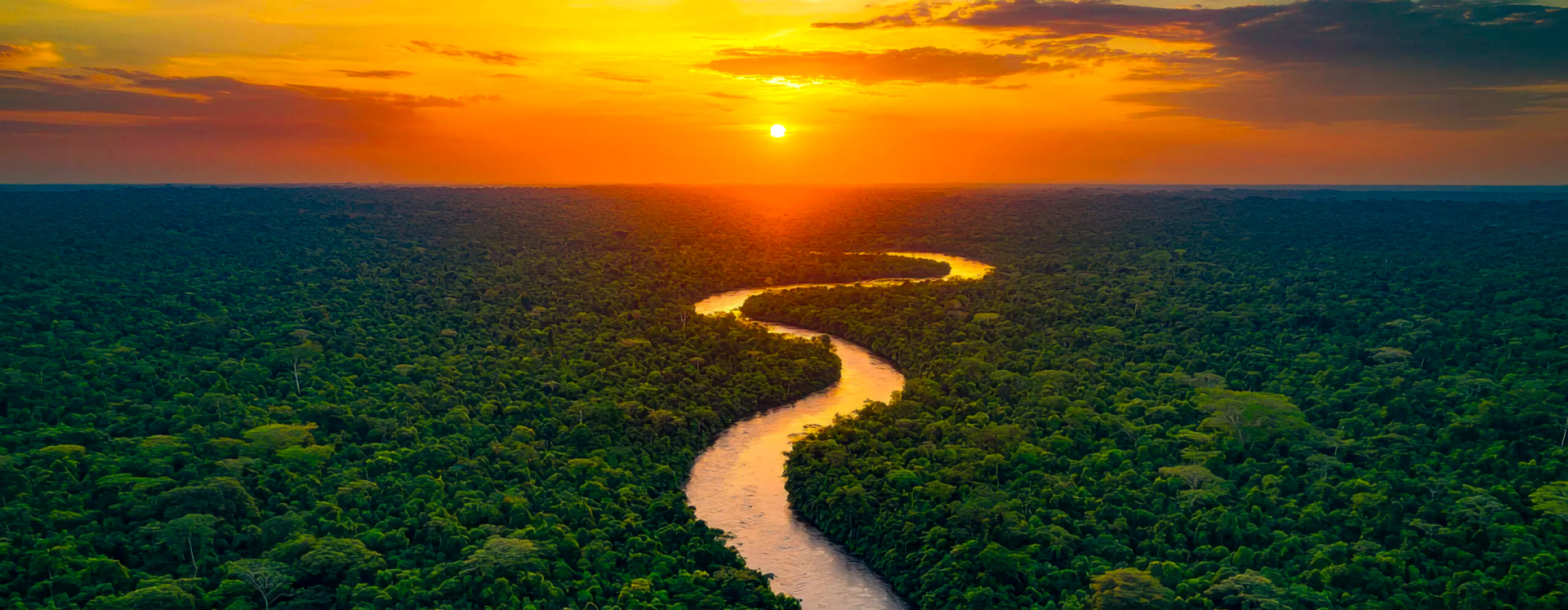 The Legacy of Michael Jackson: Earth Song and the Peruvian Amazon