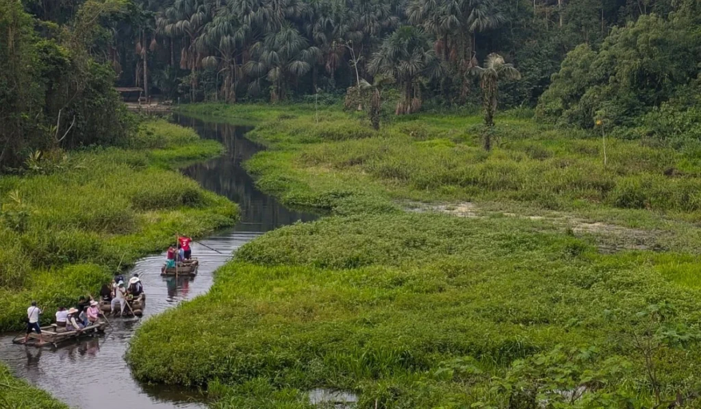 Tours por la selva amazónica en Perú desde Cusco: del Imperio Inca a la Selva Amazónica Tours por la selva amazónica en Perú desde Cusco