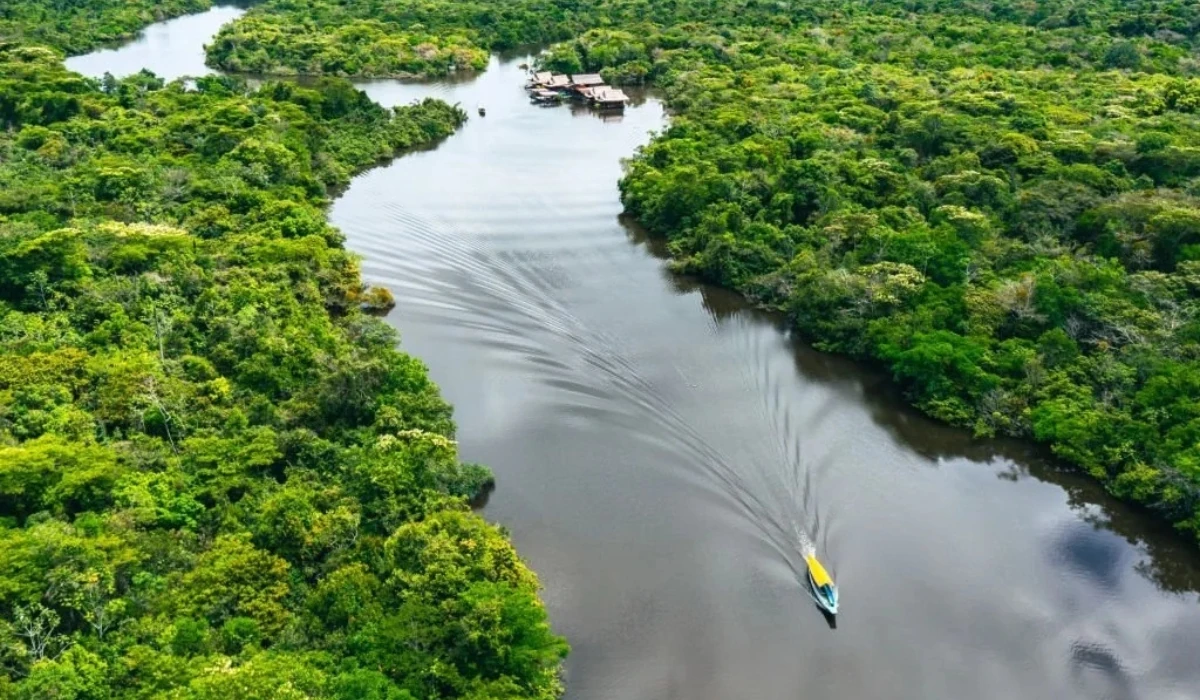 Full Day Nanay River + Amazon + Momón + Zip Line