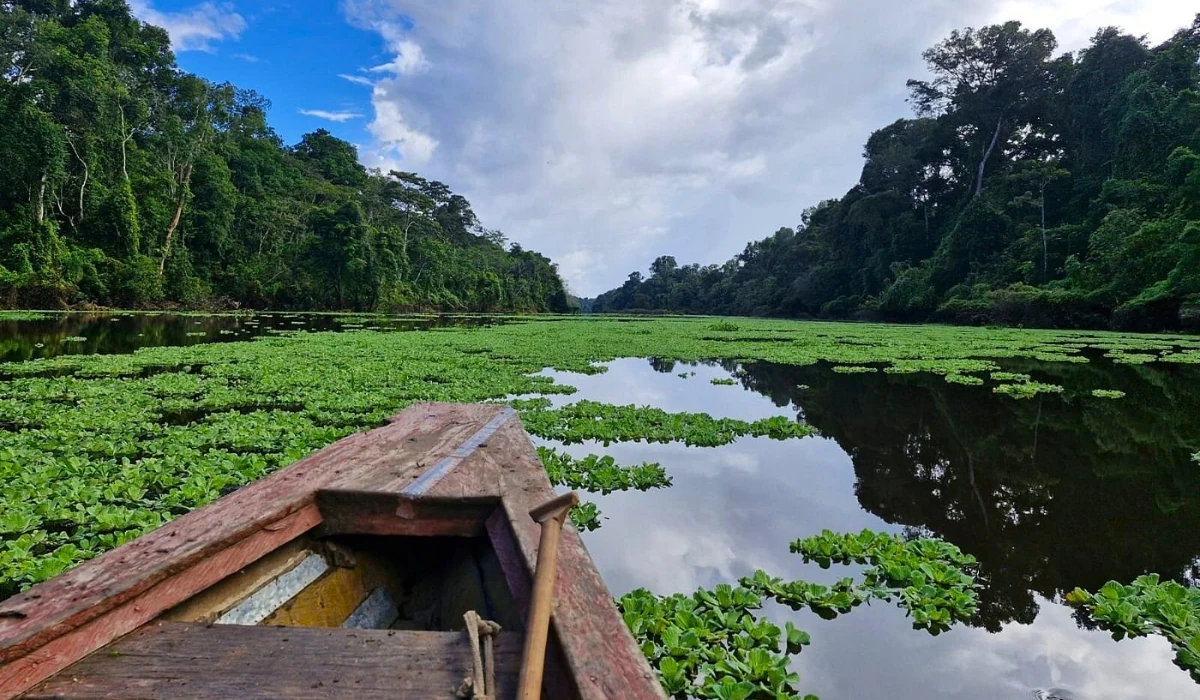 Yanayacu River Full Day - Iquitos