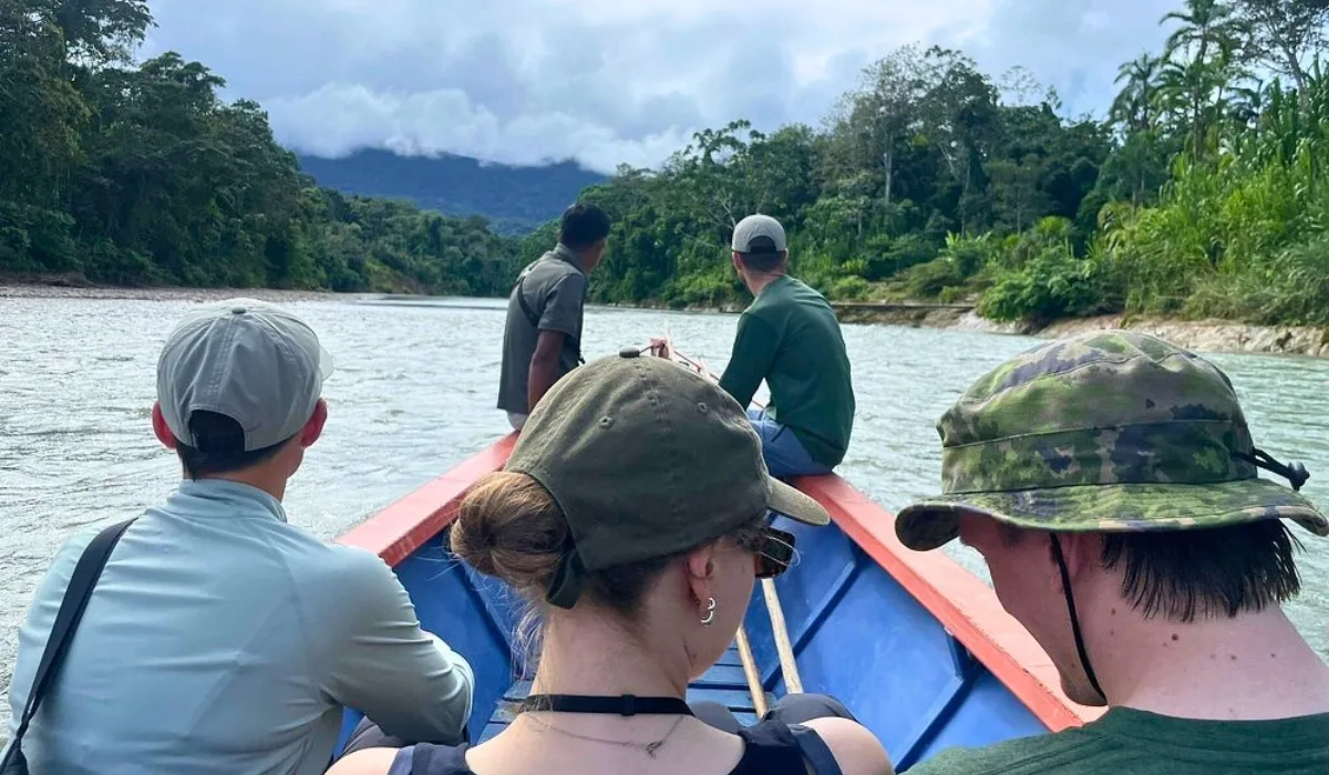 Best Destinations in the Amazon Rainforest: A Jungle Tour Guide