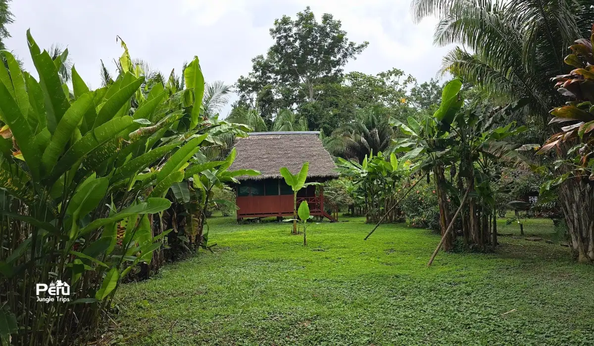 Tours en Puerto Maldonado: Amazonía peruana Tours en Puerto Maldonado