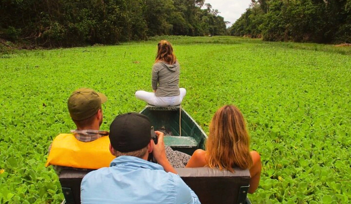 Tours in the Peruvian Amazon: Must-Visit Destinations Tours in the Peruvian Amazon