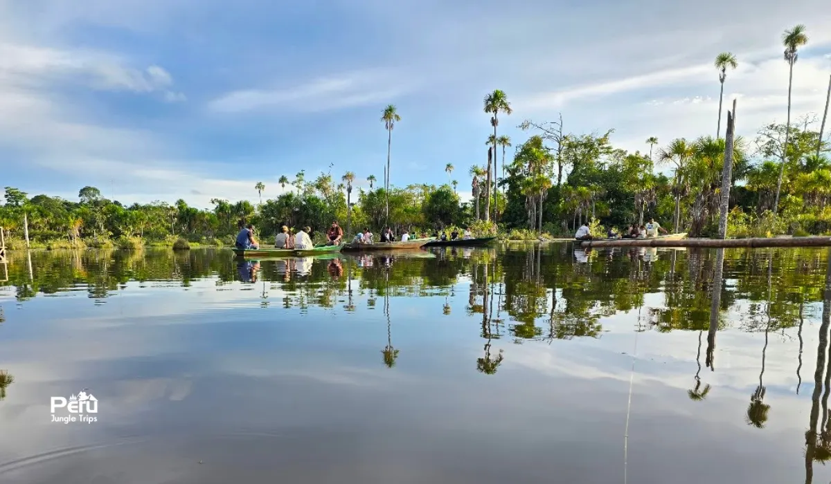 The Legacy of Michael Jackson: Earth Song and the Peruvian Amazon