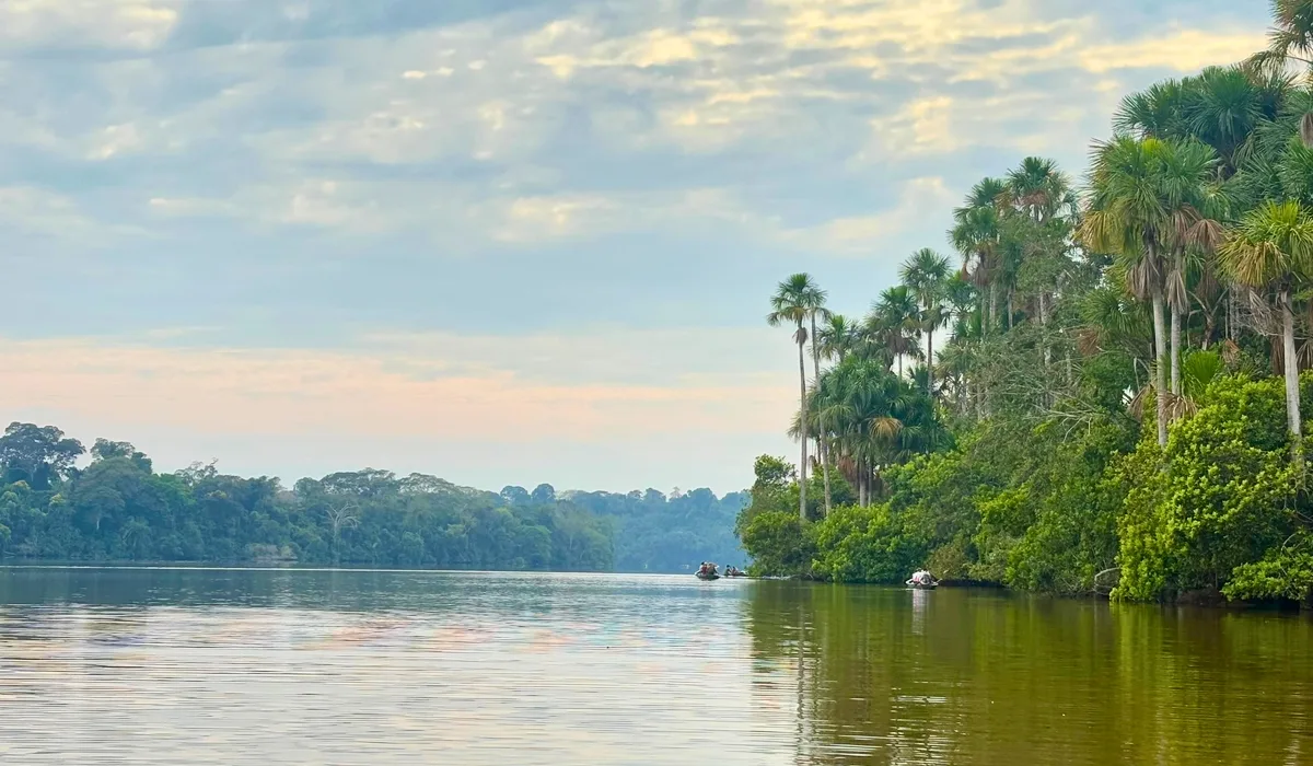 Tambopata Peru: guide for your next Amazon expedition