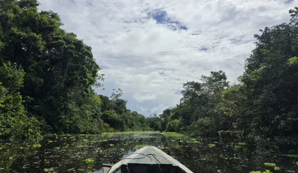Iquitos Water Mirror