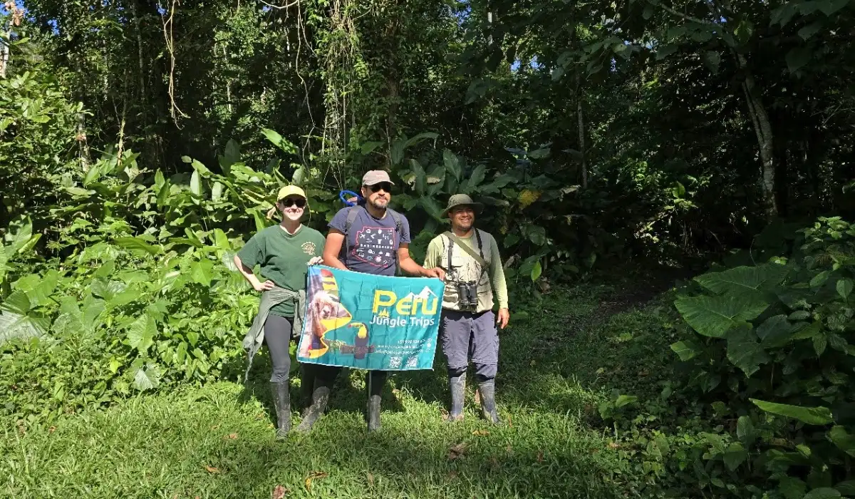 Voyage Privé dans la Jungle : l’exclusivité pour votre prochaine aventure