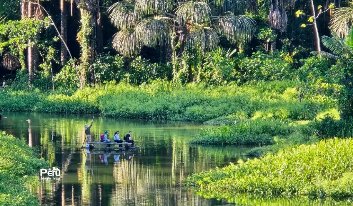 Voyage Privé dans la Jungle : l’exclusivité pour votre prochaine aventure