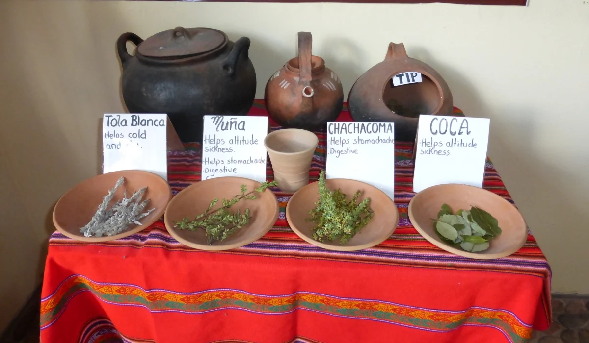 Mates de Coca y hierbas medicinales en Cusco: tus aliados contra el mal de altura