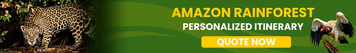 Amazon River Fishing: Expert Tips and Private Excursions