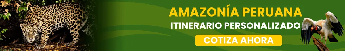 Pesca en el río Amazonas: consejos de expertos y excursiones privadas