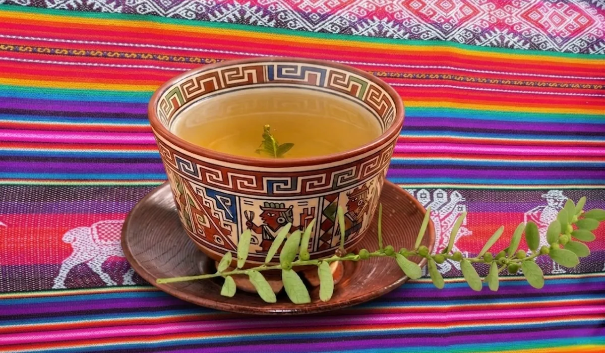 Mates de Coca y hierbas medicinales en Cusco: tus aliados contra el mal de altura