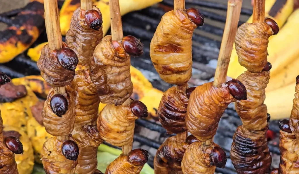 What to expect in Iquitos and the Amazon Bellavista Marked Food