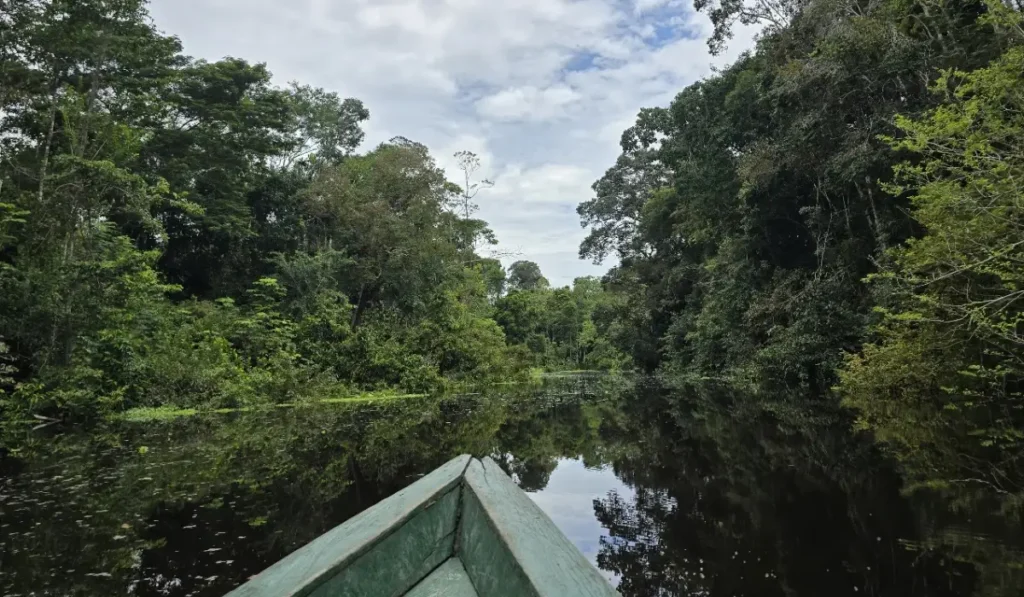 What to expect in Iquitos and the Amazon cloud forest