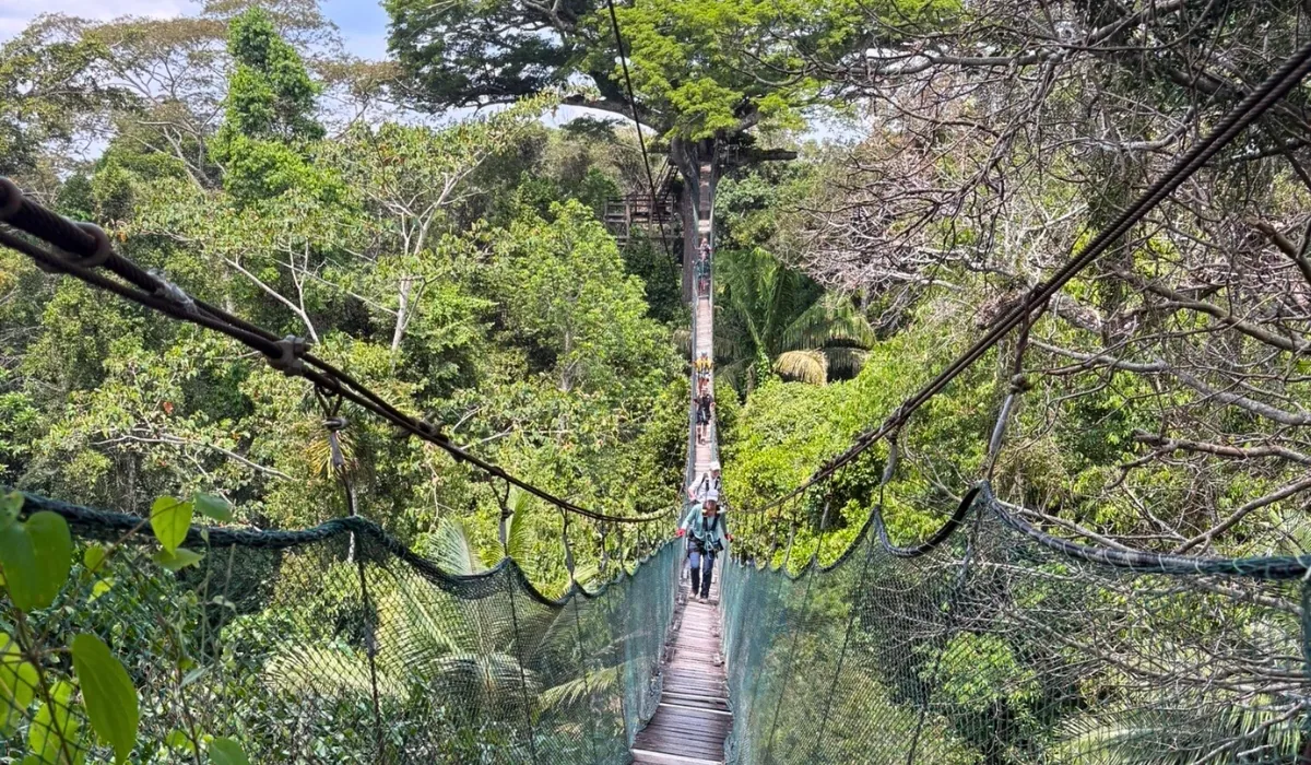 What to Do in the Peruvian Amazon: Travel Guide What to Do in the Peruvian Amazon