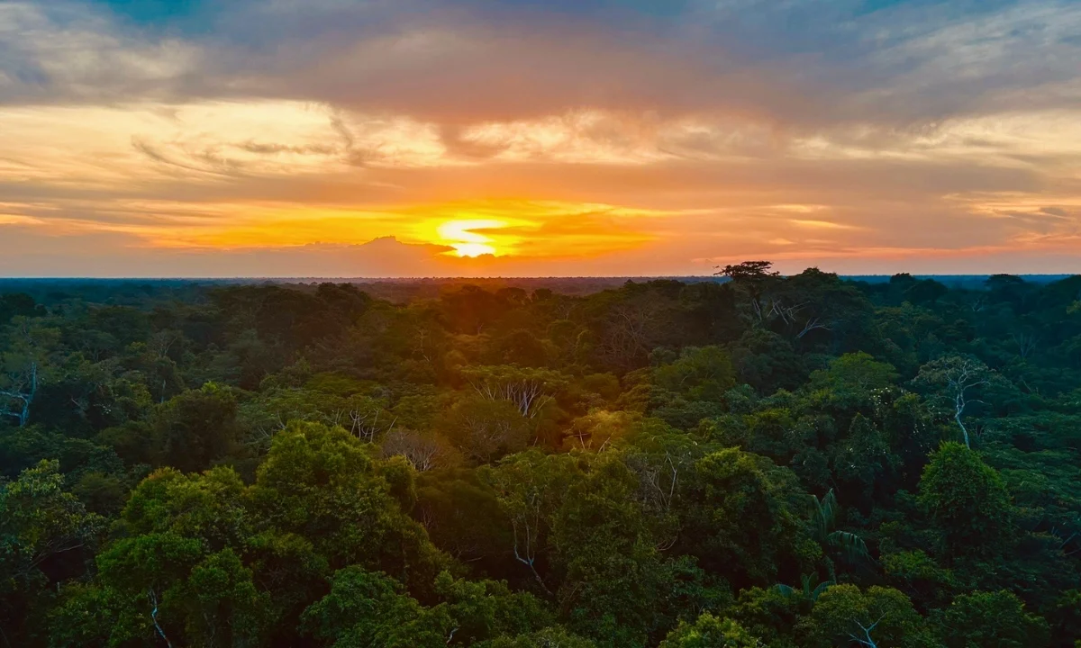 Los mejores tours al Lago Sandoval: expediciones privadas a Tambopata