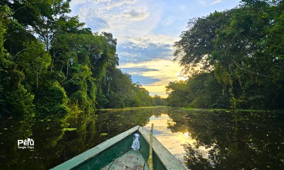 Book the Best Iquitos Tour