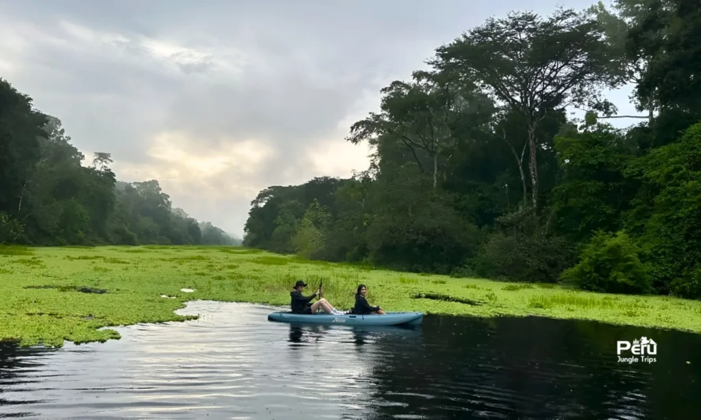 Book the Best Iquitos Tour (4 Days)