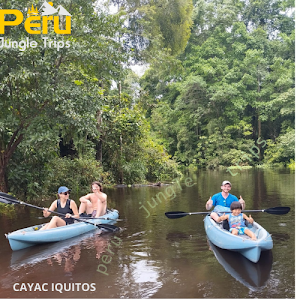 Peru Jungle Trips place picture