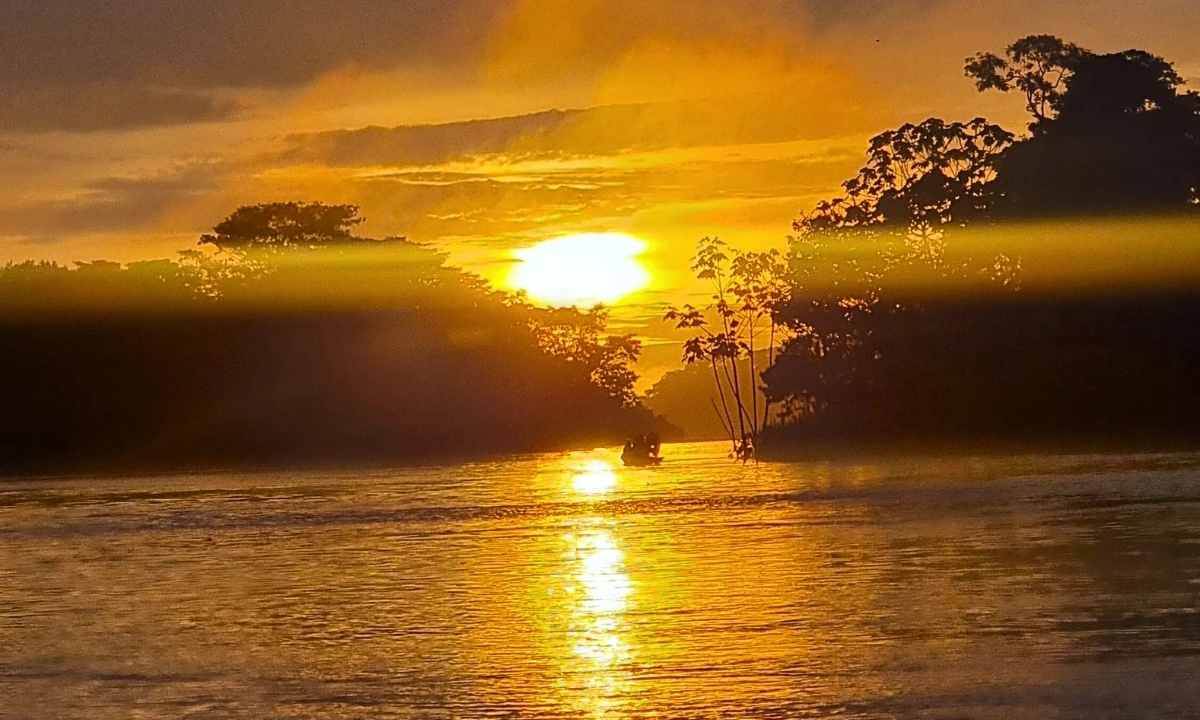 What to Do in the Peruvian Amazon: Travel Guide What to Do in the Peruvian Amazon