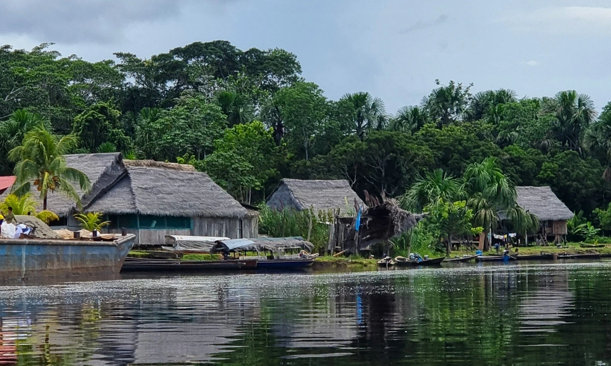 What to Do in the Peruvian Amazon: Travel Guide
