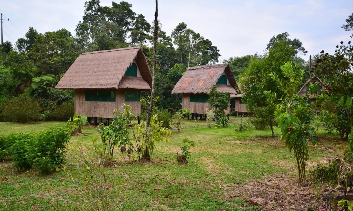 Os melhores eco-lodges na Amazônia peruana: tour personalizado pela floresta tropical Os melhores eco-lodges na Amazônia peruana