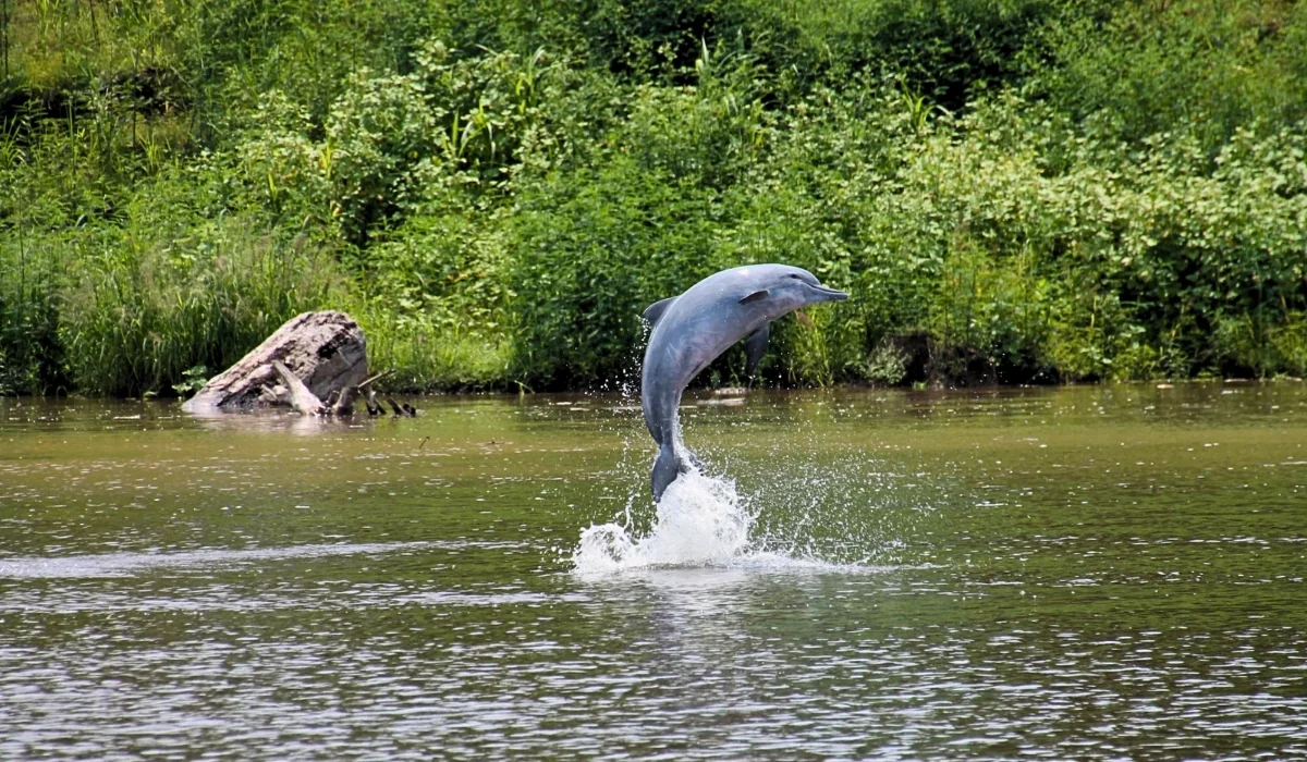 How long to spend in the Peruvian Amazon?