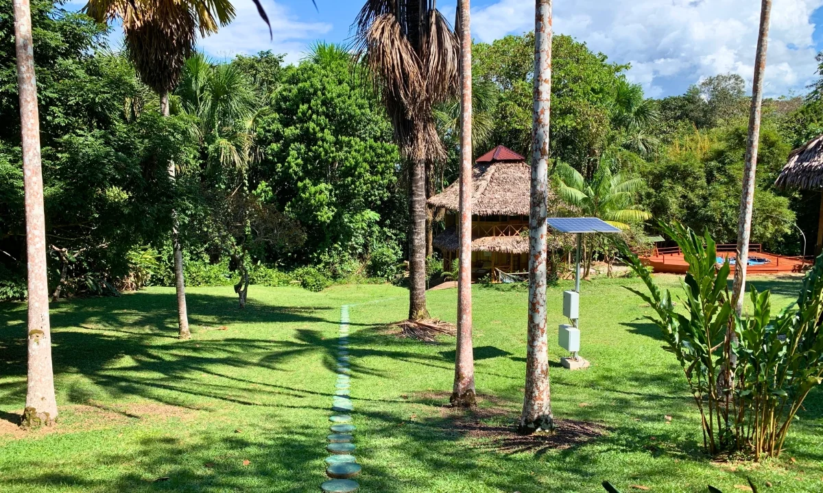 Os melhores eco-lodges na Amazônia peruana: tour personalizado pela floresta tropical