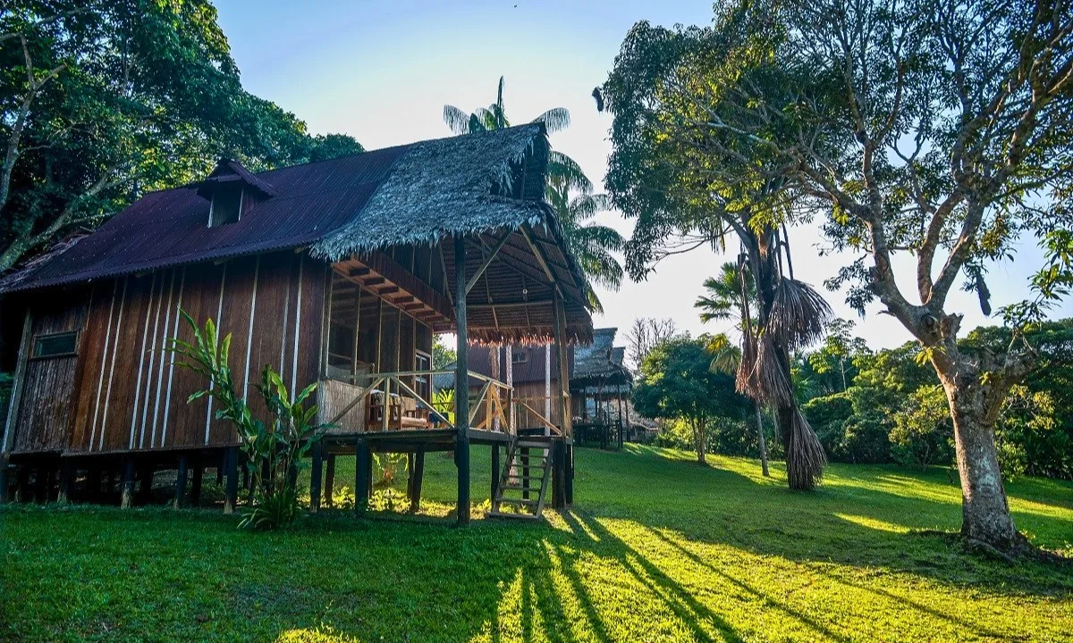 Os melhores eco-lodges na Amazônia peruana: tour personalizado pela floresta tropical Os melhores eco-lodges na Amazônia peruana