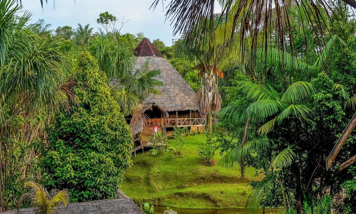 Os melhores eco-lodges na Amazônia peruana: tour personalizado pela floresta tropical