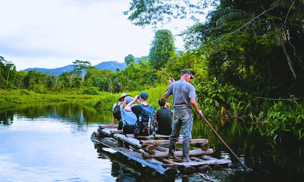 Manu Cloud Forest: The Hidden Gem Between the Andes and the Amazon