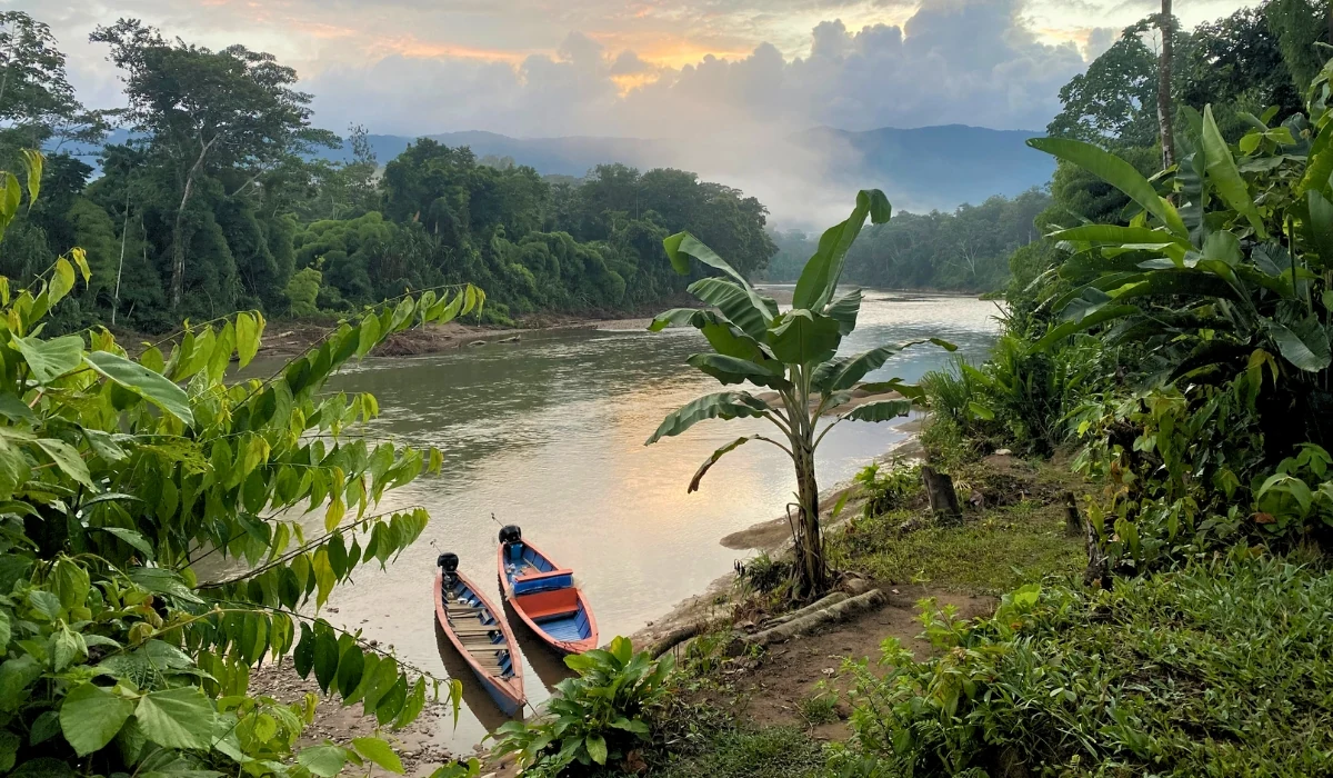 Quelle est la meilleure partie de l'Amazonie péruvienne à visiter ? Manu - Quelle est la meilleure partie de l'Amazonie à visiter