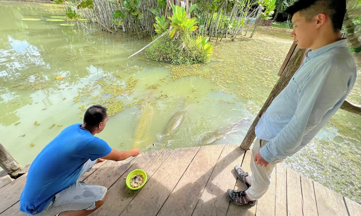 Iquitos Amazon Tour Package